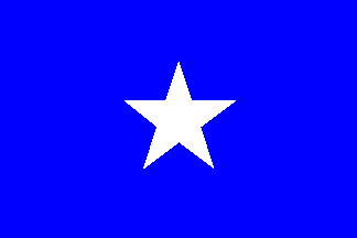 [Swatantra Party Flag]